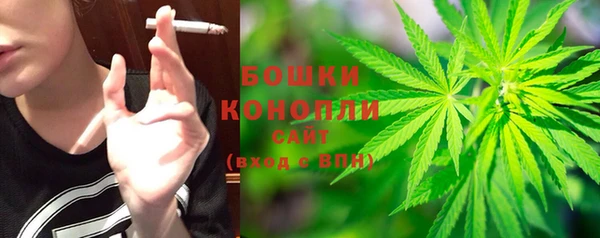 ПСИЛОЦИБИНОВЫЕ ГРИБЫ Беломорск