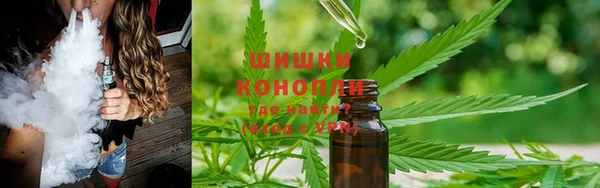 каннабис Белокуриха