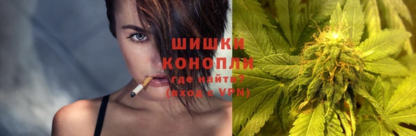 стафф Богданович
