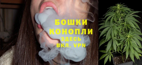 стафф Богданович