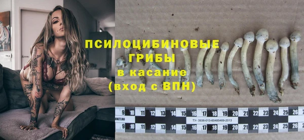 каннабис Белокуриха