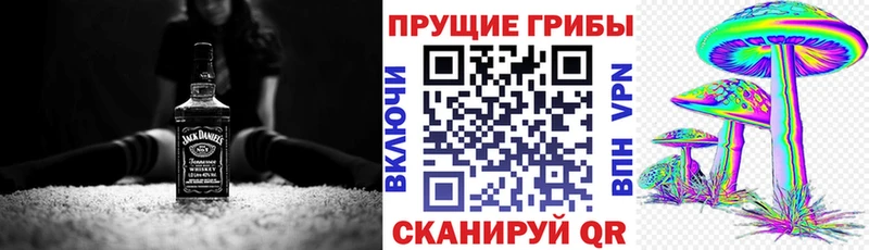 Псилоцибиновые грибы Psilocybe  Видное 